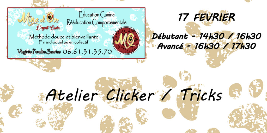 Clicker / Tricks - 17 Février